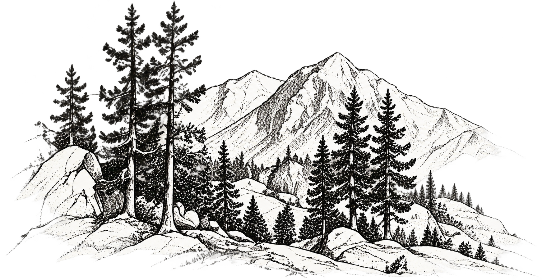 A hand-drawn mountain and evergreen landscape